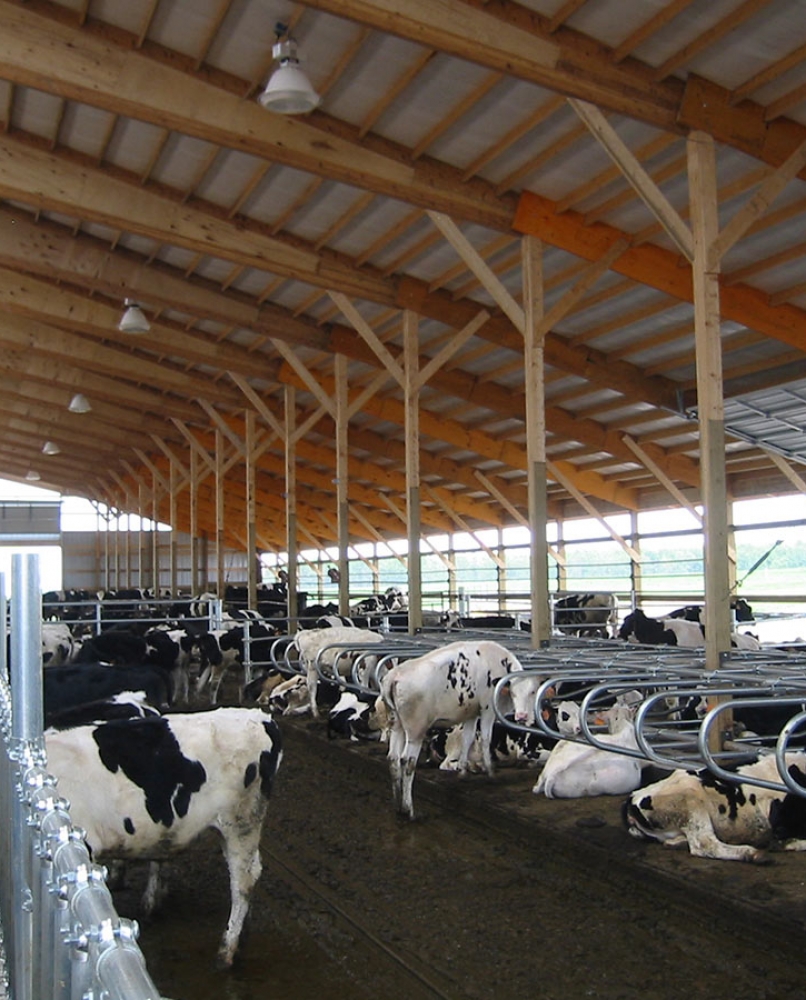 Dairy Freestall Barns Marawood Construction Services